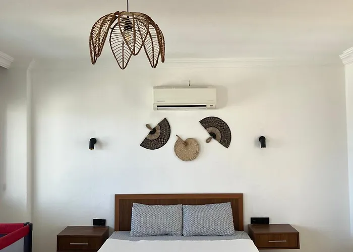 Deniz Kalkan